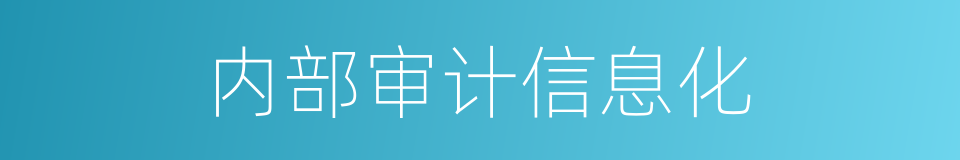 内部审计信息化的同义词