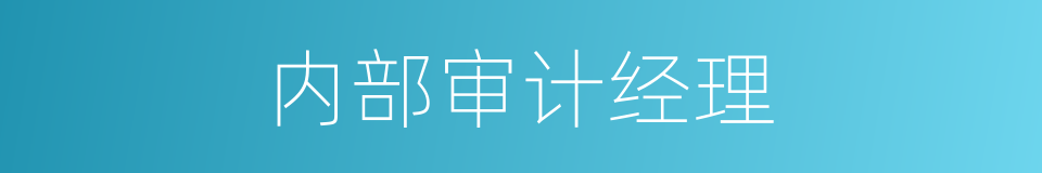 内部审计经理的同义词