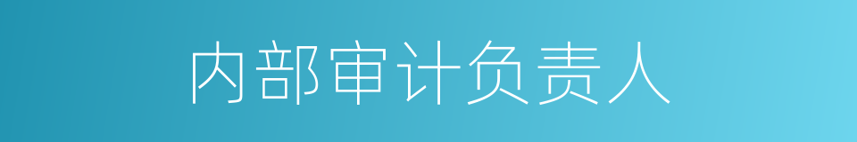 内部审计负责人的同义词