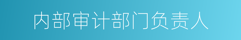 内部审计部门负责人的同义词