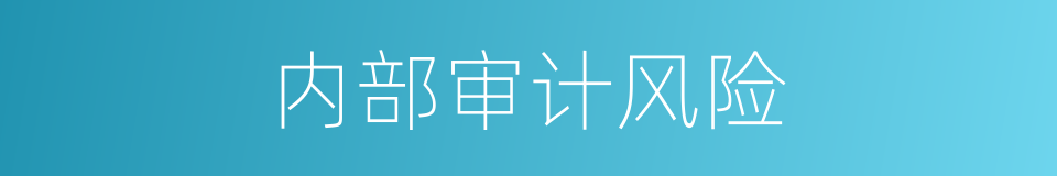 内部审计风险的同义词
