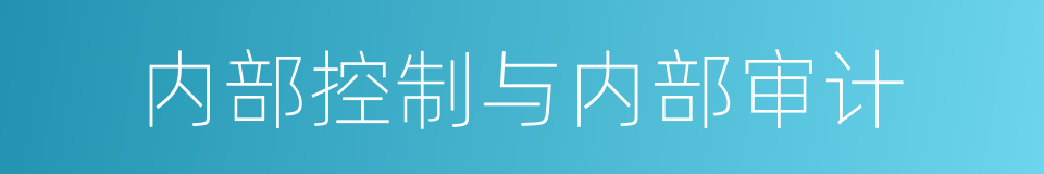 内部控制与内部审计的同义词