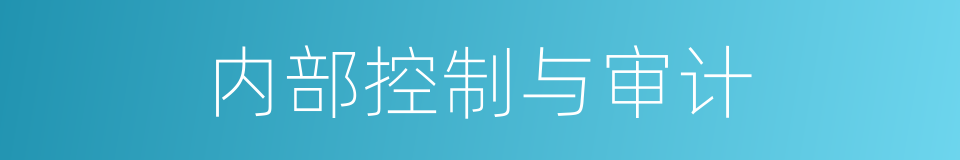 内部控制与审计的同义词