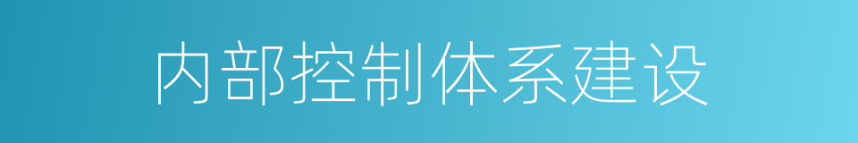 内部控制体系建设的同义词