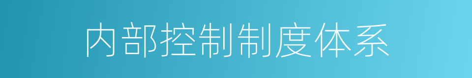 内部控制制度体系的同义词