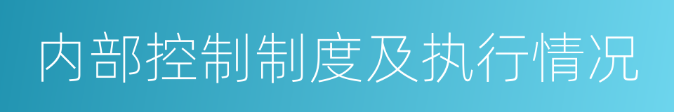 内部控制制度及执行情况的同义词