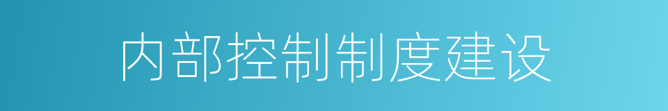 内部控制制度建设的同义词