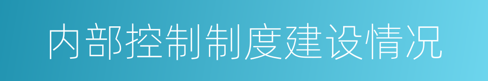 内部控制制度建设情况的同义词