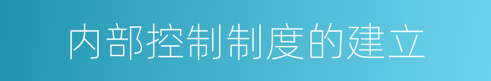 内部控制制度的建立的同义词