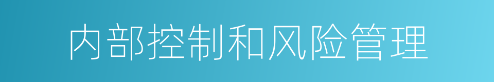 内部控制和风险管理的同义词