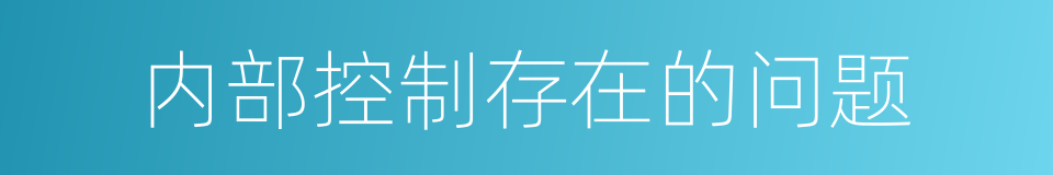 内部控制存在的问题的同义词