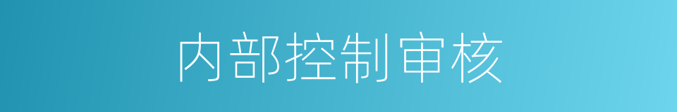 内部控制审核的同义词