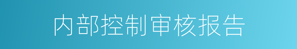 内部控制审核报告的同义词