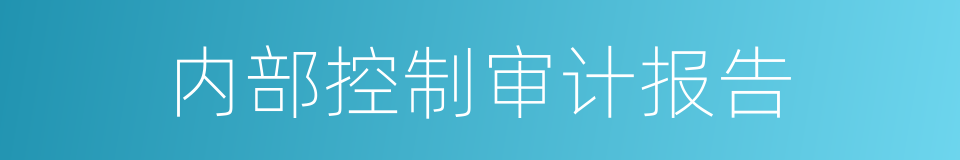 内部控制审计报告的同义词