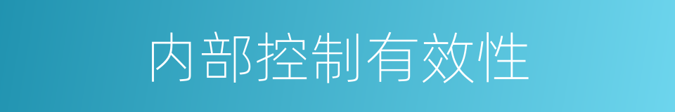 内部控制有效性的同义词