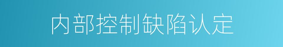 内部控制缺陷认定的同义词