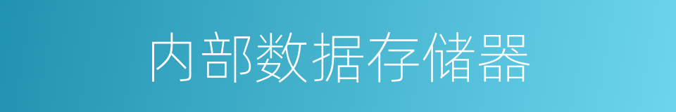 内部数据存储器的同义词