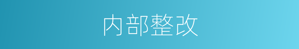 内部整改的同义词