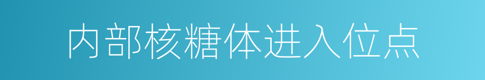 内部核糖体进入位点的同义词