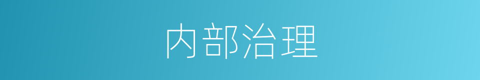 内部治理的同义词
