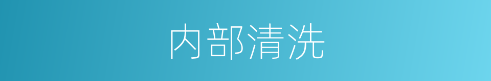 内部清洗的同义词