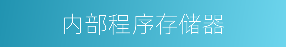 内部程序存储器的同义词