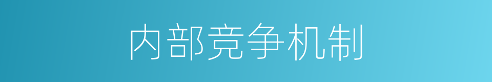 内部竞争机制的同义词