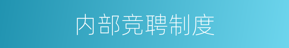 内部竞聘制度的同义词