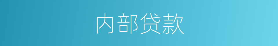 内部贷款的同义词