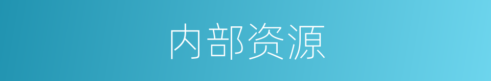 内部资源的同义词