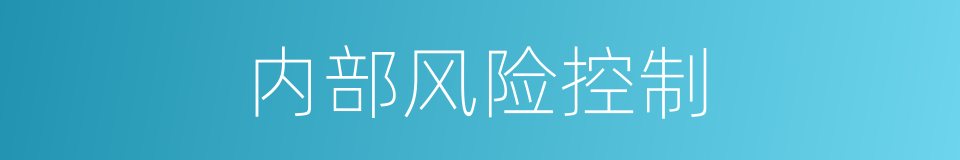 内部风险控制的同义词