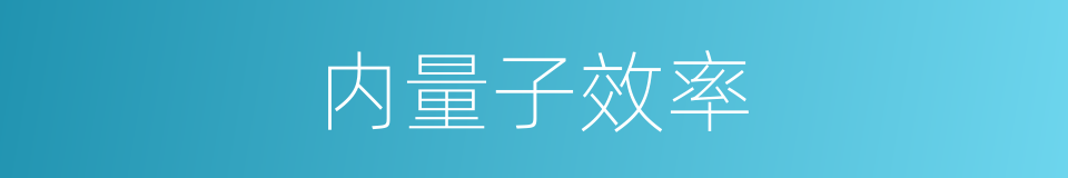 内量子效率的同义词