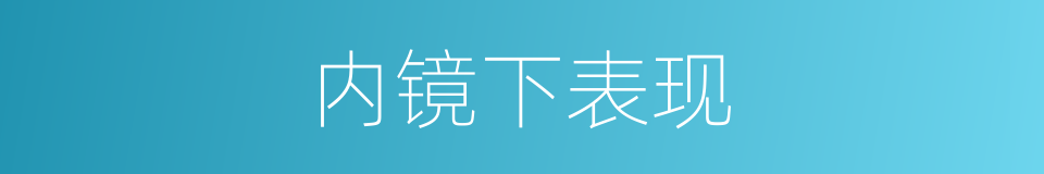 内镜下表现的同义词