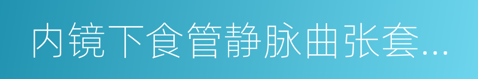 内镜下食管静脉曲张套扎术的同义词