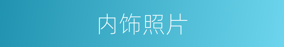 内饰照片的同义词