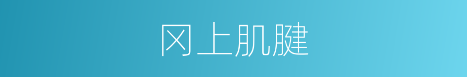 冈上肌腱的同义词