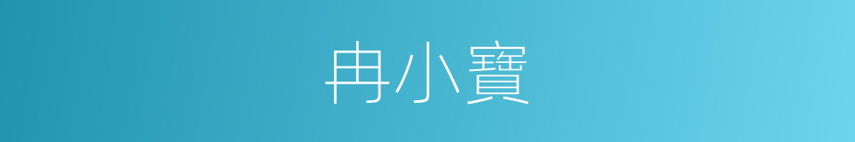 冉小寶的同義詞