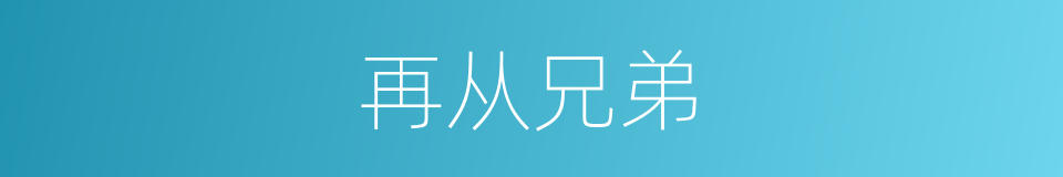 再从兄弟的意思