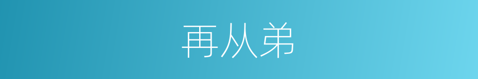 再从弟的同义词
