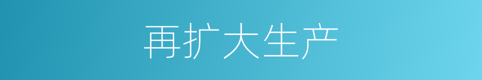 再扩大生产的同义词