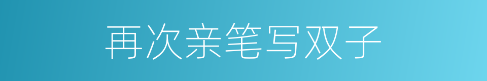 再次亲笔写双子的同义词