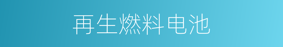 再生燃料电池的同义词