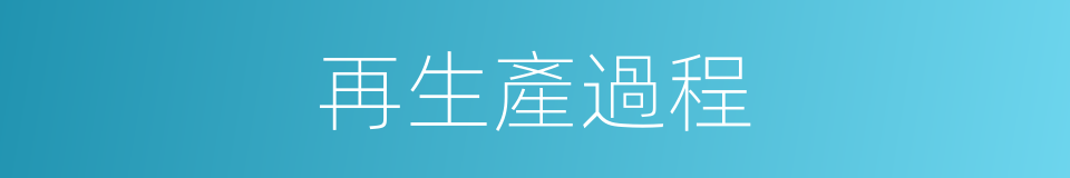 再生產過程的同義詞