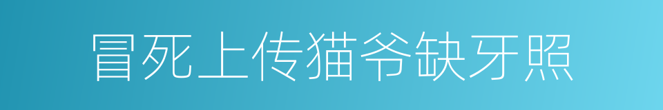 冒死上传猫爷缺牙照的同义词