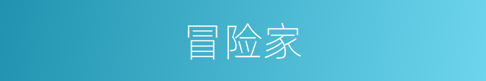 冒险家的意思