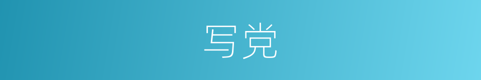 写党的同义词