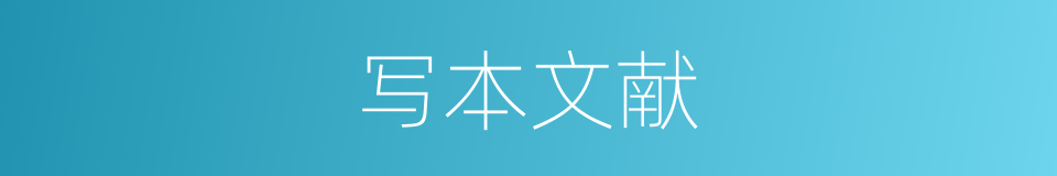 写本文献的同义词