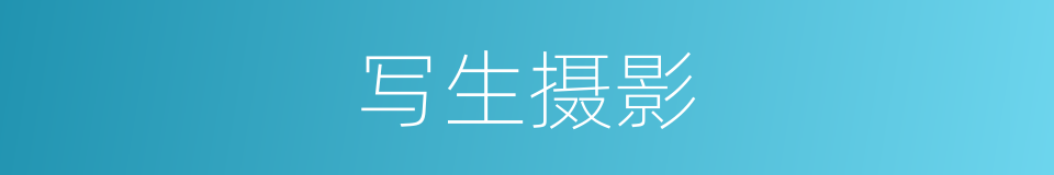 写生摄影的同义词