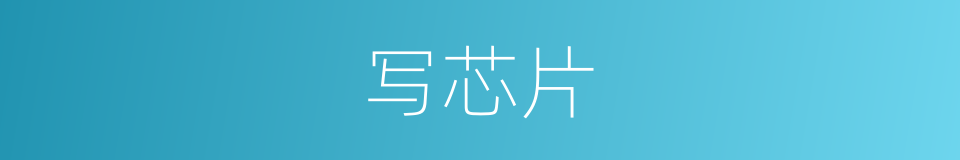 写芯片的同义词