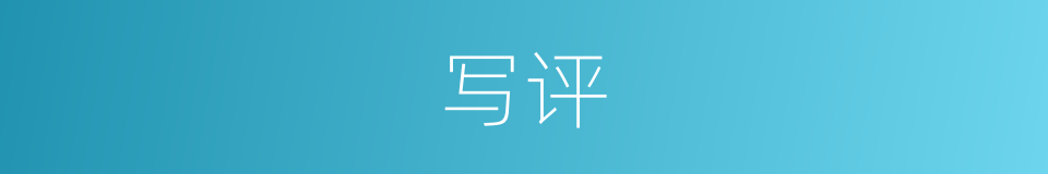写评的同义词